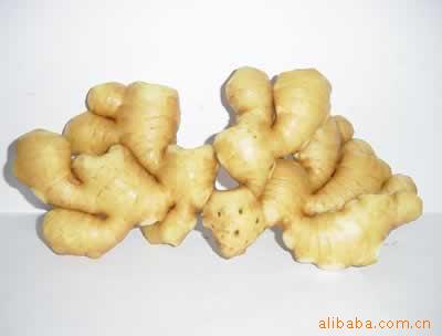޹ ڼ  ʽ