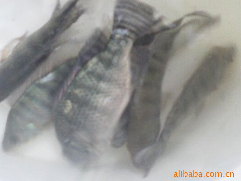 ˮ  ޷